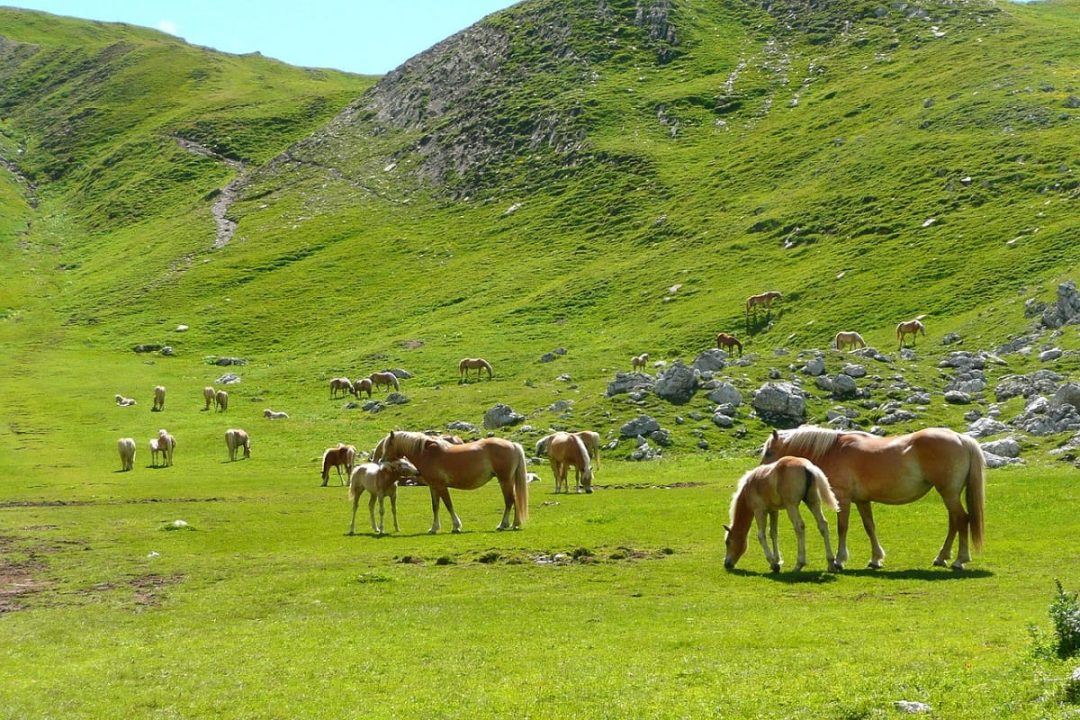 I posti più belli da vedere in Irpinia CarlaTravel.it I posti più belli da vedere in Irpinia CarlaTravel.it